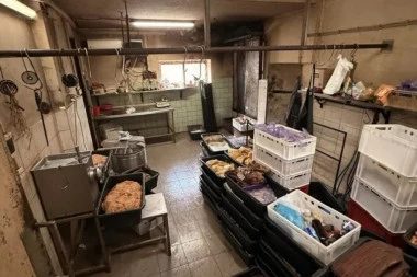 BUĐ I MUŠICE NA MESU! Jezive fotografije iz mesare kod Smedereva - SNABDEVALI ČAK TRI RESTORANA! (FOTO)