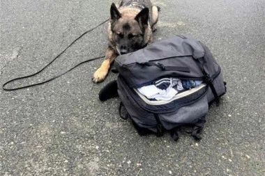 MLADIĆ UHVAĆEN SA PREKO 13 KILOGRAMA DROGE U AUTOBUSU! Sve otkrili službeni psi! (FOTO)