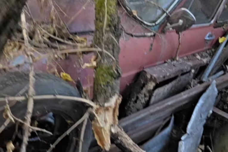 Kristijan Golubović na deponiji