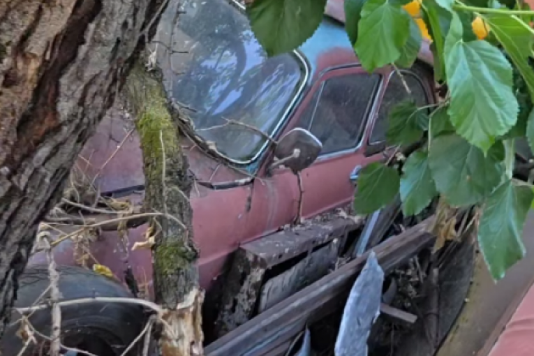 Kristijan Golubović na deponiji