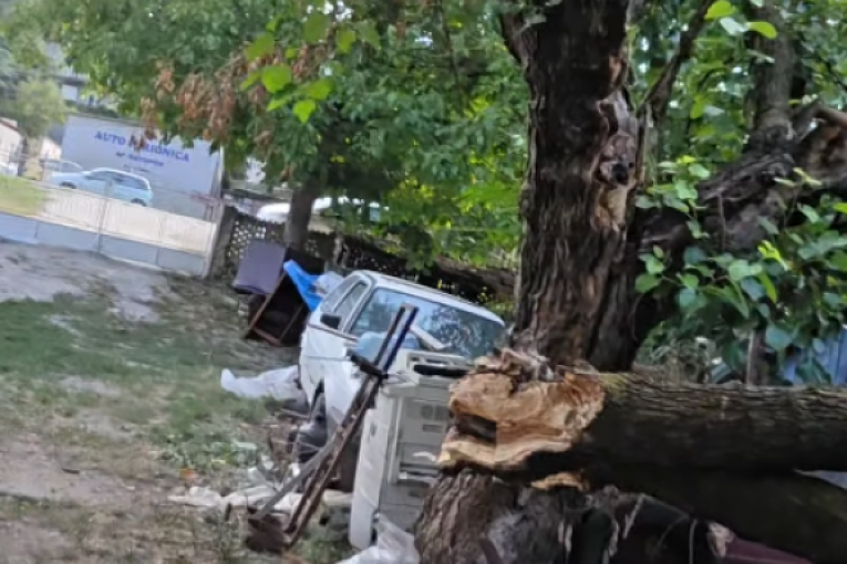 Kristijan Golubović na deponiji