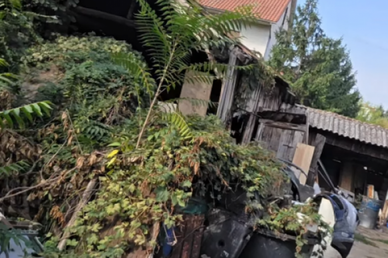 Kristijan Golubović na deponiji