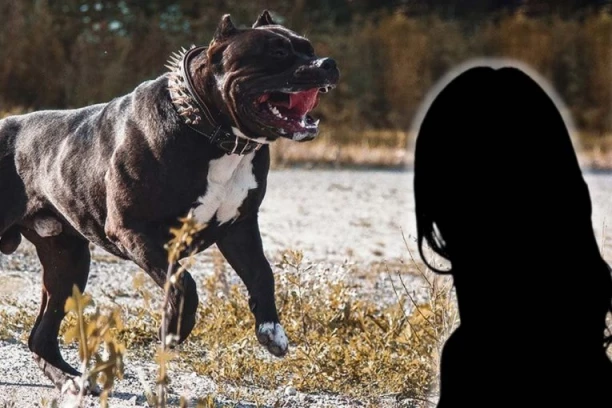 HOROR U BOLJEVCIMA! Pas izujedao devojčicu u školskom dvorištu! NAPAD SE DOGODIO NA ČASU FIZIČKOG!