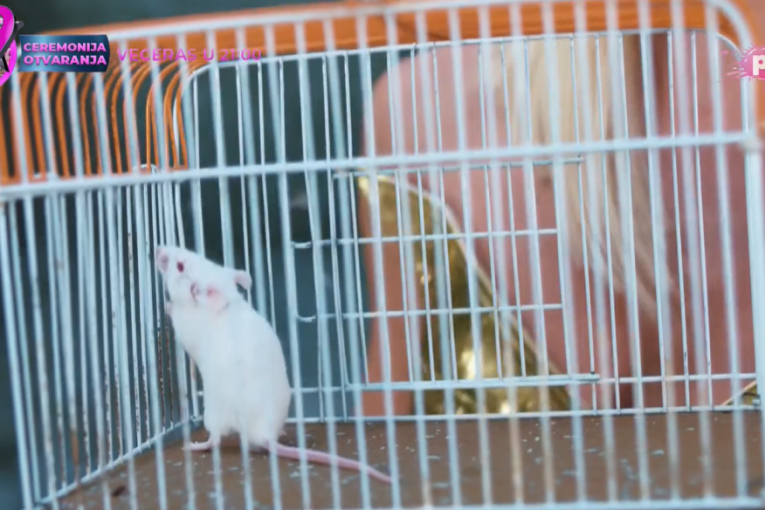 Džingl "Politkolovka"