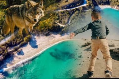 VUK NAPAO SRPSKO DETE NA HALKIDIKIJU! Roditelji izbezumljeni!