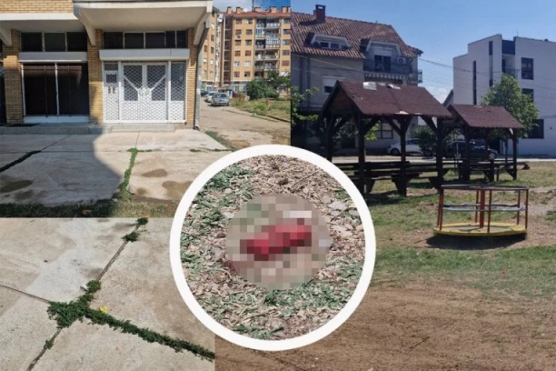 REPUBLIKA NA LICU MESTA! Ovde je ubijen mladić u Nišu! Tragovi krvi na mestu gde je DARKU PUCANO U GLAVU! (FOTO, VIDEO)