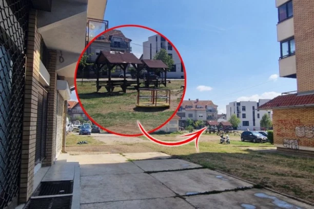 UBICA IZ NIŠA ZANEMEO U TUŽILAŠTVU! Drugu pucao u glavu i srce iz "damskog" pištolja, a na saslušanju ni reč!