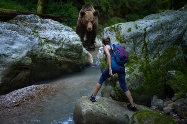 JEDVA ŽIV OSTAO! Grizli napao mladića u čuvenom nacionalnom parku!