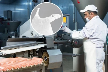 FUJ! MUŠKARAC I ŽENA KUPILI ŠUNKU, PA U NJOJ PRONAŠLI KESU! Oglasila se i firma iz Jagodine: "Ne znamo da li je to naš proizvod!" (VIDEO)