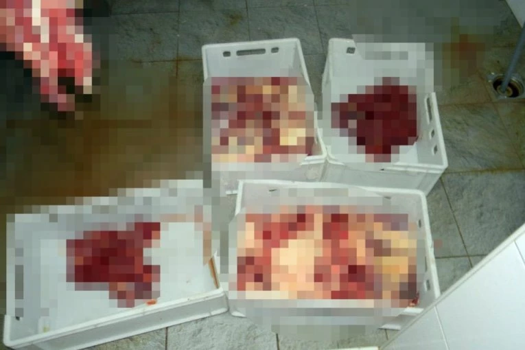 PRODAVALI MESO ZARAŽENO TRIHINELOM! Uhapšen veterinar i vlasnik jednog poljoprivrednog gazdinstva iz Pančeva!