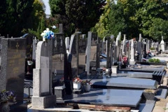 BIZARNE REČI NA NADGROBNOM SPOMENIKU NAŠE PEVAČICE I SUPRUGA ĐANIJA UZNEMIRILE SVE: "Umrli su, a sada su…"