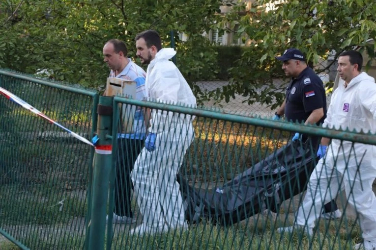RADNIKA NA FARMI UBIO BIK! Jeziva tragedija kod Subotice