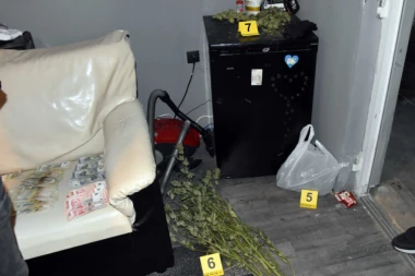 POSEDOVAO KANABIS, AMFITAMINE I HALUCINOGENE PEČURKE! Mladiću iz Subotice zaplenili sve - PRONAĐENA I VELIKA KOLIČINA NOVCA OD PRODAJE! (FOTO)