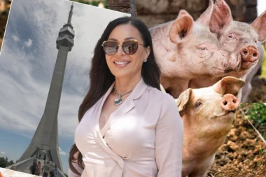 CECA OTVARA FARMU PRASIĆA! Otkrivena istina o njenom novom imanju na Avali!