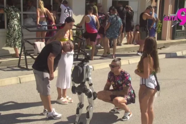 PRIKUPLJENE KLJUČNE INFORMACIJE O ODNOSU MINE I TERZE: Vrbaški mu pomutila razum, tek sledi haos!