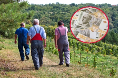 KILOGRAM OVE BILJKE KOŠTA 30.000 DINARA! Ovaj Pančevac pronašao biznis zlata vredan - a može svako da radi!