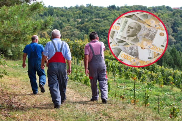 DNEVNICA JE 10.000 DINARA, ALI NIKO NEĆE DA RADI! Gazde moraju da se snalaze, radnicima plaćaju čak i DUPLO