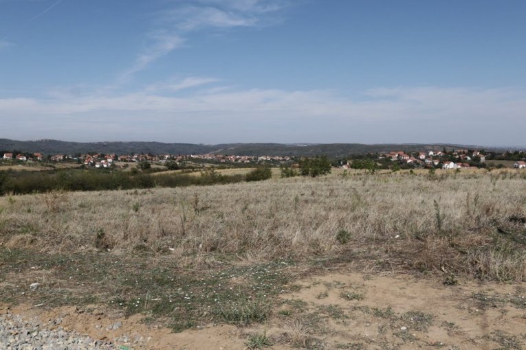 Cecina njiva na Avali, u mestu Zuce