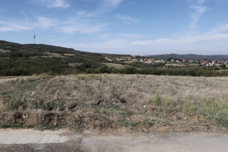 Cecina njiva na Avali, u mestu Zuce