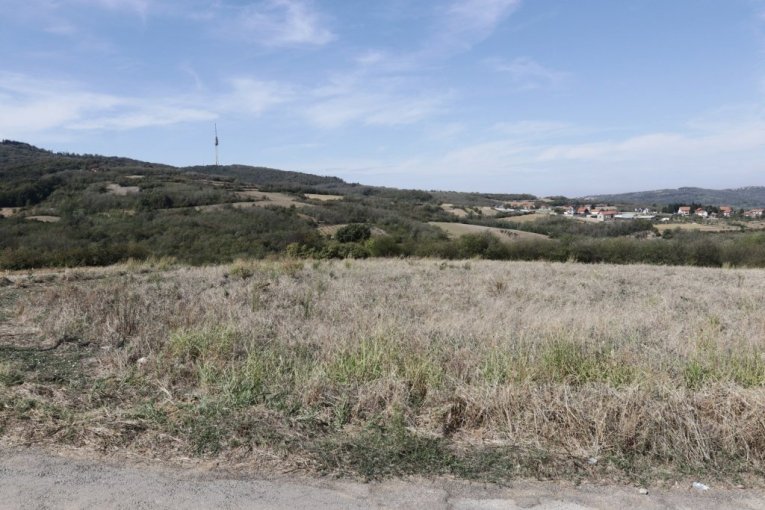 Cecina njiva na Avali, u mestu Zuce