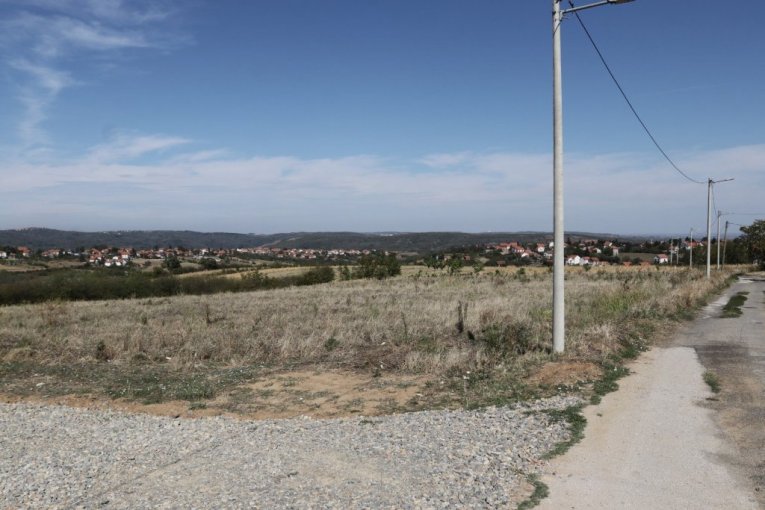 Cecina njiva na Avali, u mestu Zuce