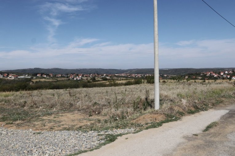 Cecina njiva na Avali, u mestu Zuce