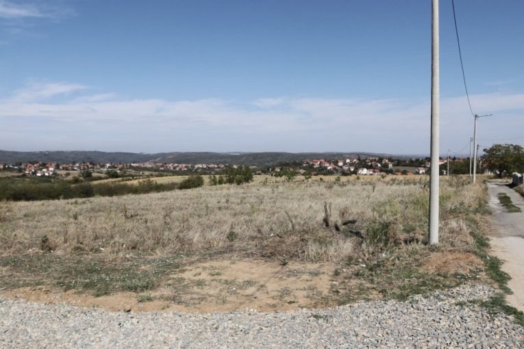 Cecina njiva na Avali, u mestu Zuce