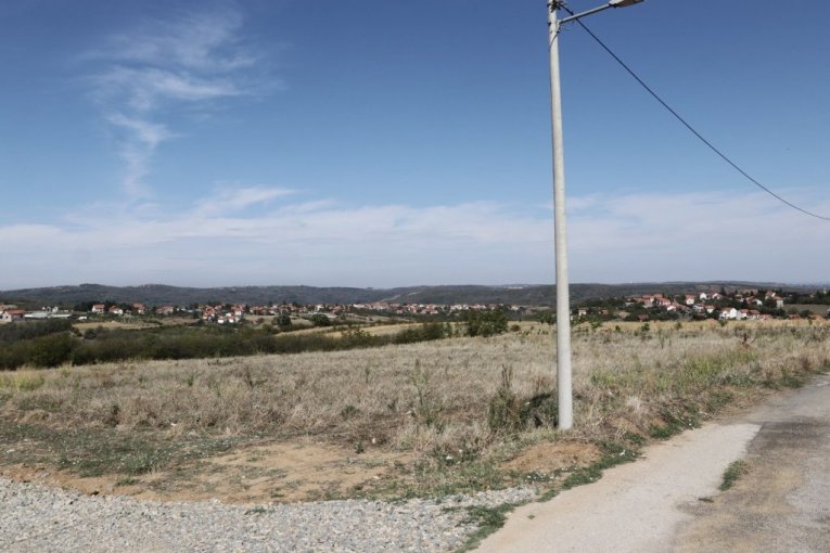 Cecina njiva na Avali, u mestu Zuce