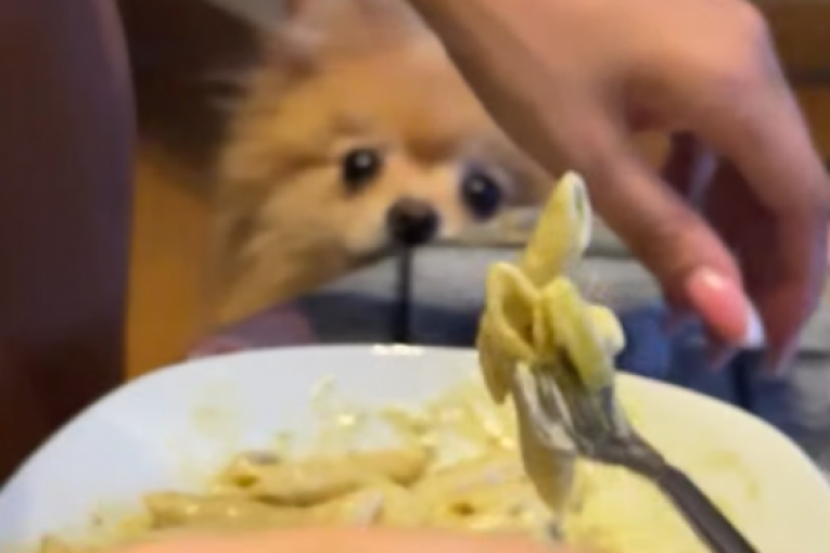 Anđela Đuričić i Nenad Marinković Gastoz