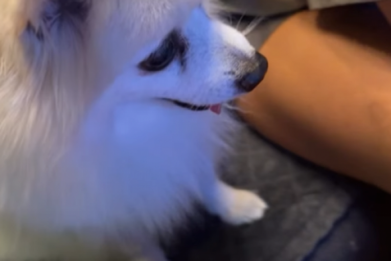 Anđela Đuričić i Nenad Marinković Gastoz