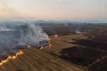 OZBILJNE POSLEDICE PO ŽIVOTNU SREDINU: Paljenje žetvenih ostataka na njivama ispošćuje zemlju i zagađuje vazduh