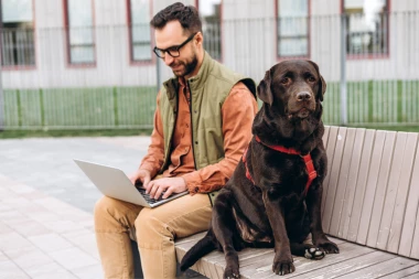 NA OVOM POSLU U SRBIJI MOGU DA SE ZARADE OZBILJNE PARE! Odlično se plaća po satu i idelan je kao izvor doatnih prihoda!