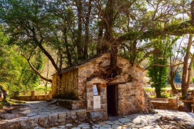 ČUDOTVORNA CRKVA IZ KOJE RASTE 17 STABALA: Misterija stara skoro 1000 godina