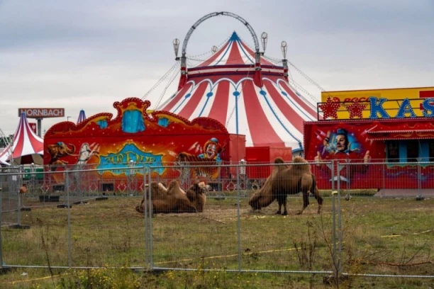 DECA GLEDALA HOROR U CIRKUSU: Akrobatkinja pala sa trapeza - nije joj bilo spasa, preminula na licu mesta