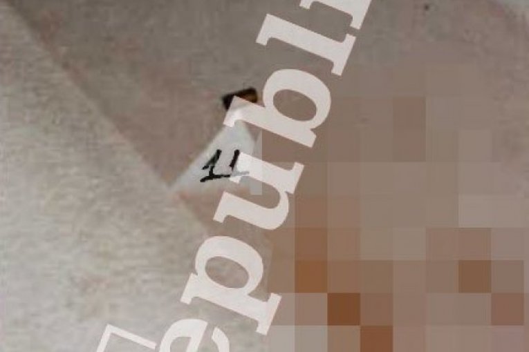 Republika/Ustupljene fotografije