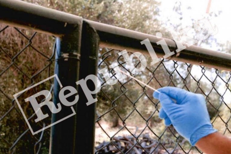 Suđenje klanu Veljka Belivuka