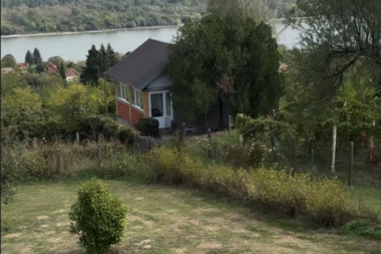 Jelenina objava na Instagramu