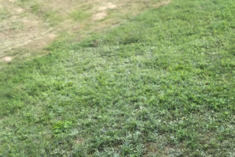 Jelenina objava na Instagramu