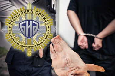 KUPOVALI SVINJSKE GLAVE OD FARMERA IZ NORMANDIJE! Kako je pala grupa Srba koja je terorisala Evropu!? SVE RADILI PO NALOGU STRANIH SLUŽBI!