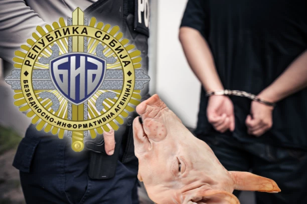 KUPOVALI SVINJSKE GLAVE OD FARMERA IZ NORMANDIJE! Kako je pala grupa Srba koja je terorisala Evropu!? SVE RADILI PO NALOGU STRANIH SLUŽBI!