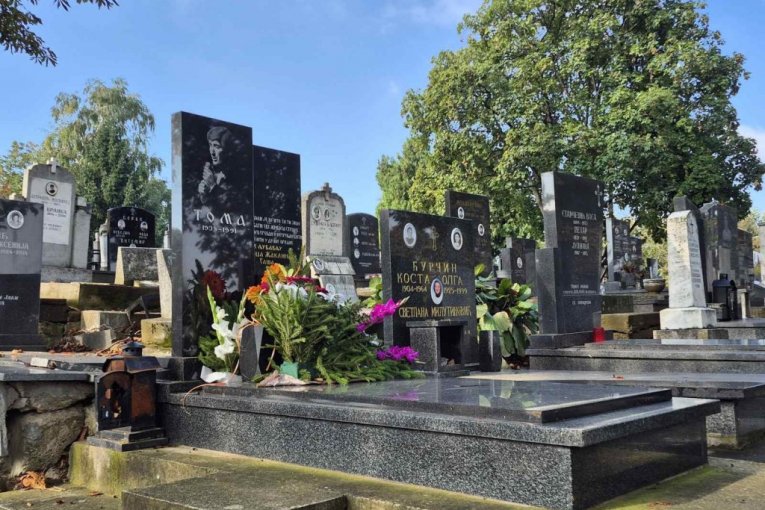 Pomen Tomi Zdravkoviću