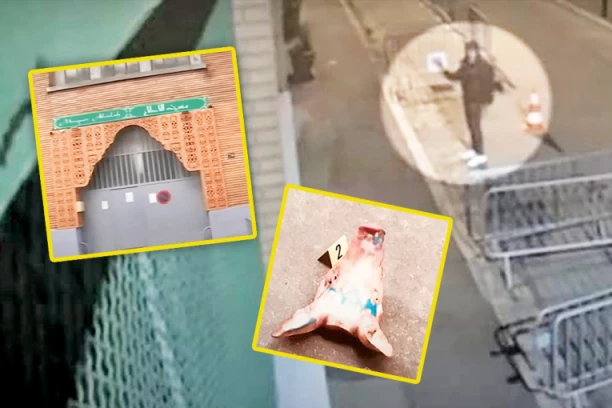 OTKRIVAMO NOVU ETAPU HIBRIDNOG RATA PROTIV SRBIJE!  PRAVI CILJ AKCIJE "SVINJSKE GLAVE": Optužiti Rusiju i Srbiju za rušenje Evrope!