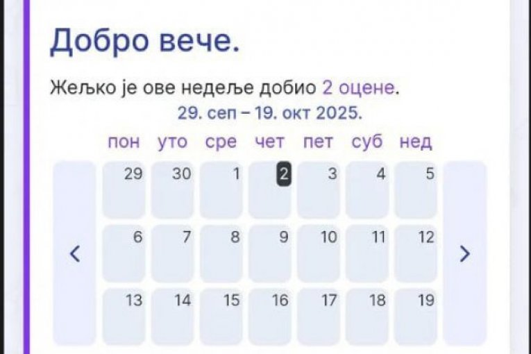 Marija Kulić podelila uspehe malog Željka u školi