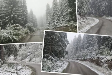 SNEG PARALISAO SRBIJU! Hiljade ljudi bez struje, vozači zarobljeni, planine u mraku - OBOREN REKORD STAR 90 GODINA!