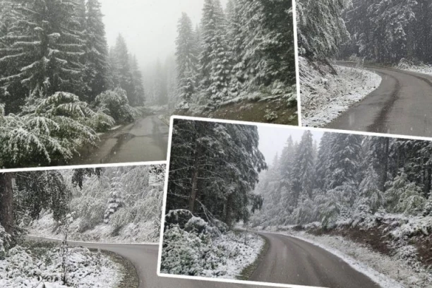 SNEG PARALISAO SRBIJU! Hiljade ljudi bez struje, vozači zarobljeni, planine u mraku - OBOREN REKORD STAR 90 GODINA!