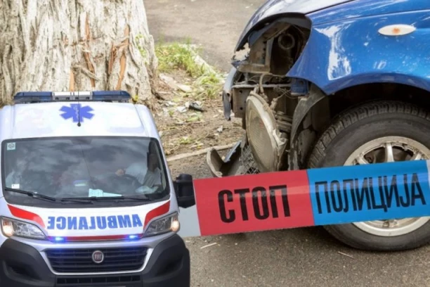 TINEJDŽER (16) SE KOLIMA ZAKUCAO U DRVO! Teška nesreća kod Obrenovca!