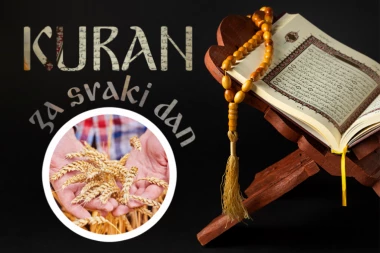 SVET OKO NAS KRIJE ČUDA KOJA ČESTO IGNORIŠEMO: Otkrijte tajne koje svakodnevno prolaze nezapaženo