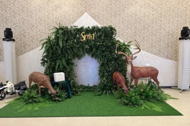 SVE JE U ZNAKU SRNE! Pogledajte dekoraciju za prvi rođendan ćerke Darka i Katarine Lazić! (FOTO-GALERIJA)