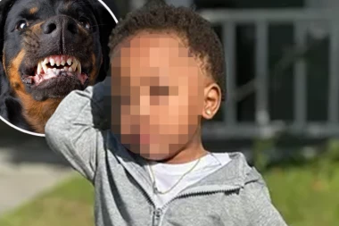 UŽAS! Rotvajleri rastrgli dečaka (2)! DADILJA SPAVALA DOK SE U DVORIŠTU ODVIJAO HOROR!