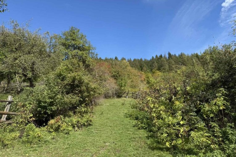 Rodna kuća Halida Bešlića